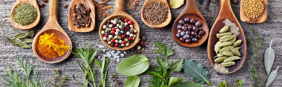 c3247075 3893 49c6 8199 27990264 MyLivon